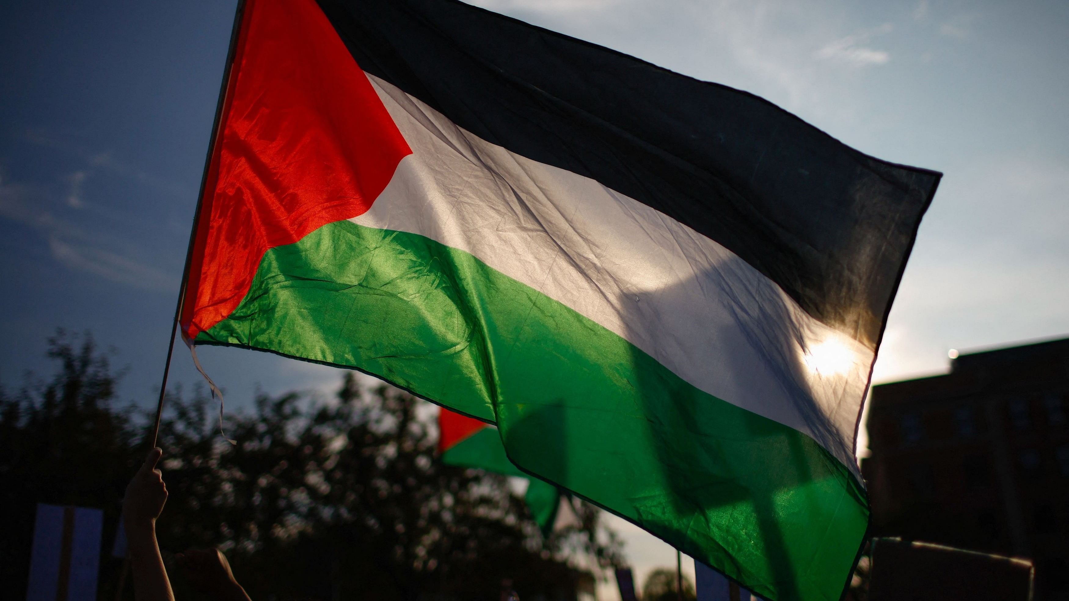 <div class="paragraphs"><p>A demonstrator waves a Palestinian flag</p></div>